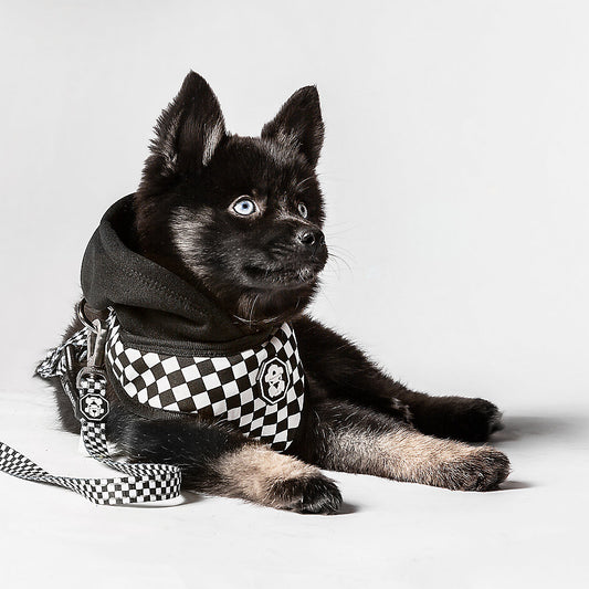 The Fresh Pawz Checkerboard Hoodie Dog Harness