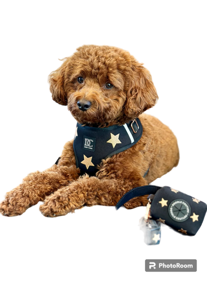 Limited Edition Rockstar Embroidered Harness